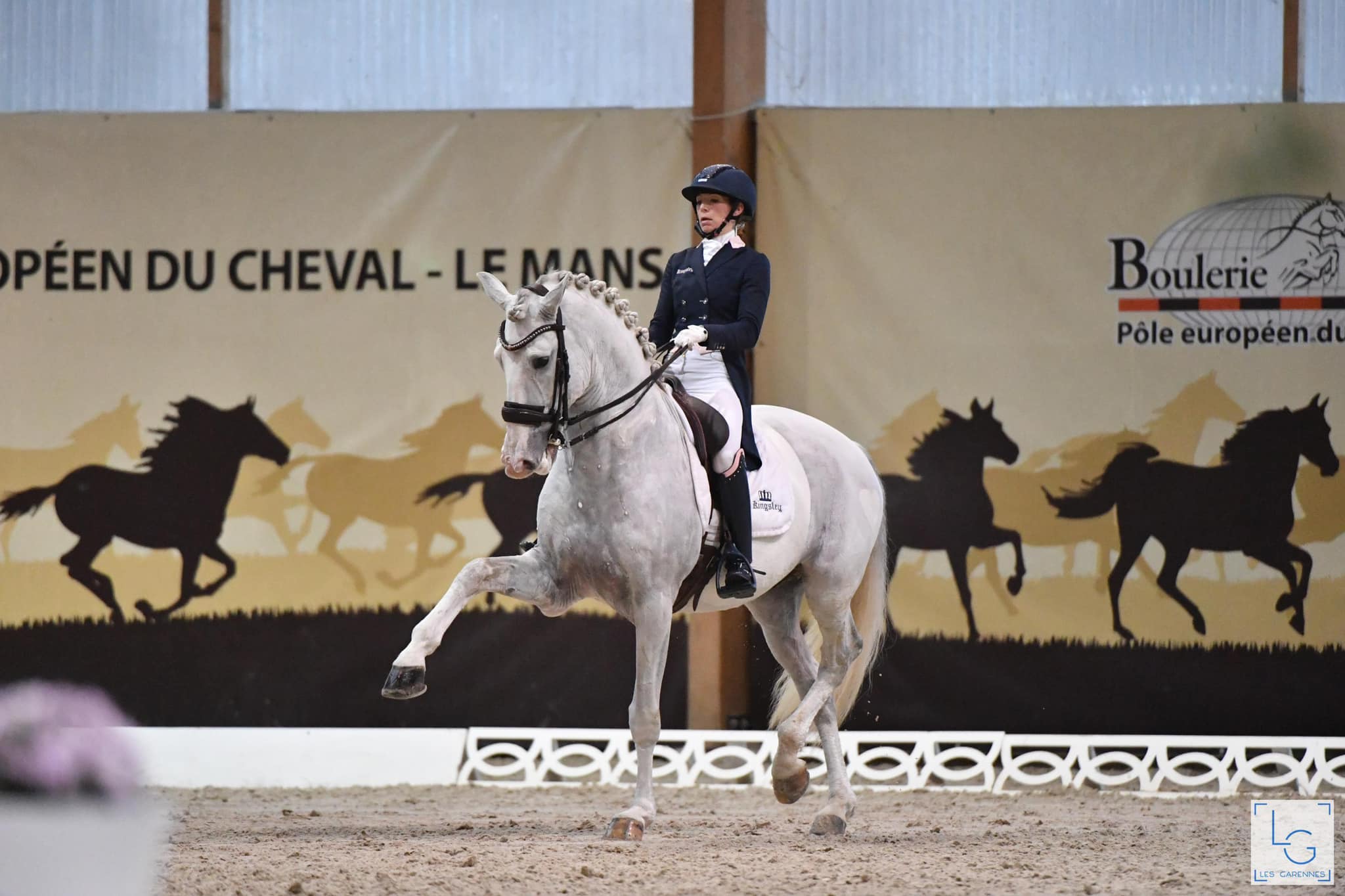 Icaro Das Figueiras est un étalon de dressage lusitanien.