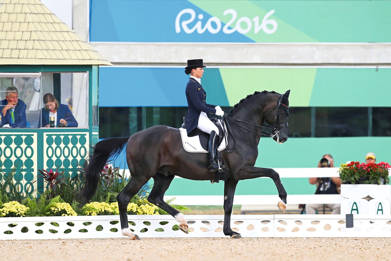 Desperados fait partie du Top 10 des meilleurs étalons de dressage selon la ranking WBFSH.