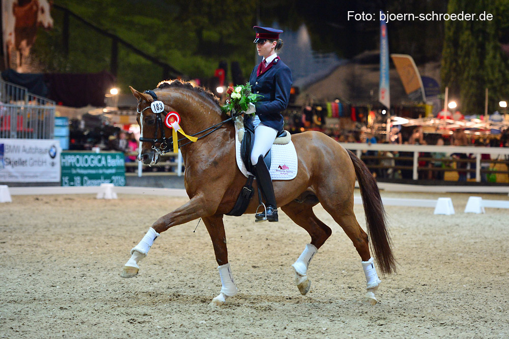 Quaterback fait partie du Top 10 des meilleurs étalons de dressage selon la ranking WBFSH.