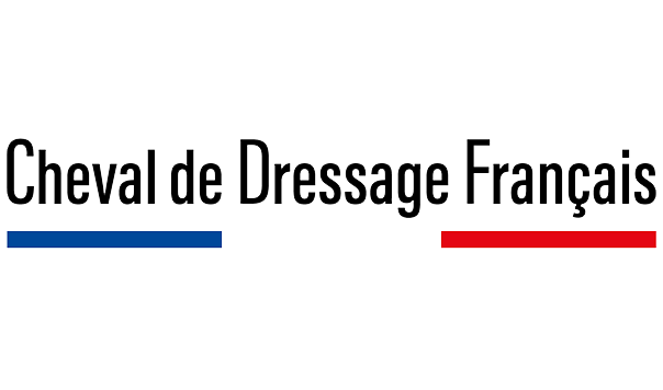 Cheval de Dressage Français