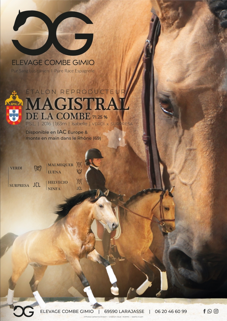 userfiles/horse/4437/a4_fiche-e-CC-81talon-magistral-copie.jpg