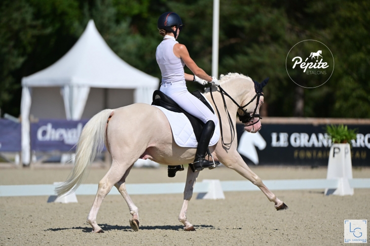 userfiles/horse/4497/2023-09-10gsdressage-23samard-alexandra-23dream-in-cream-23w92_1936.jpg