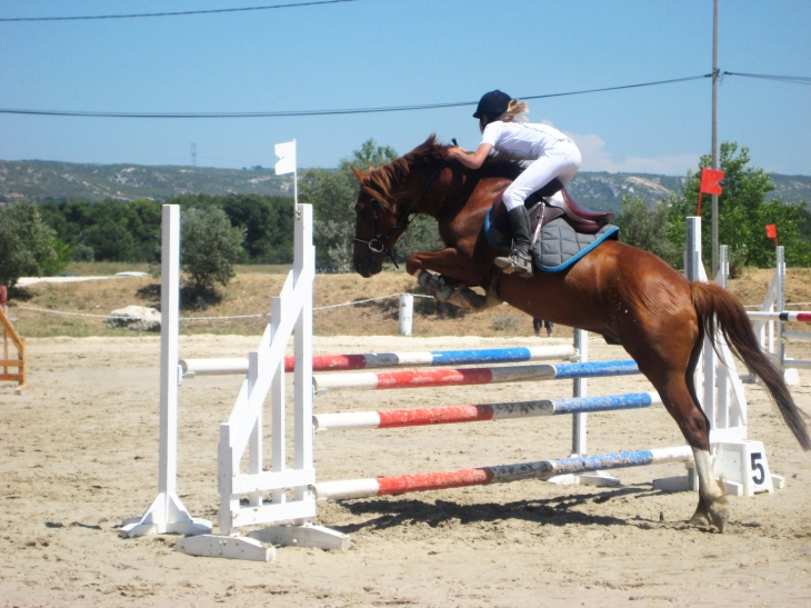 userfiles/horse/4600/20110522-sauvage-pertuis-p2-b.jpg