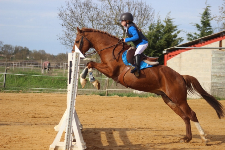 userfiles/horse/4600/20190303-sauvage-l-etang-3.jpg