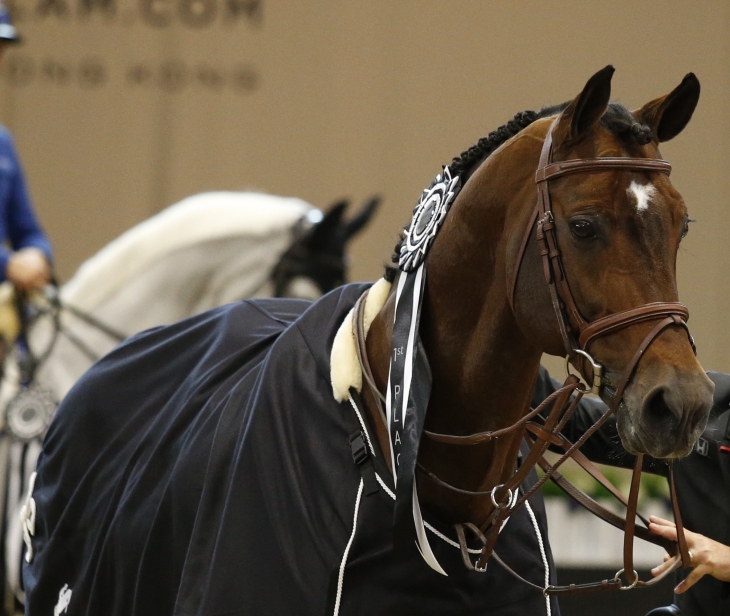 userfiles/horse/4679/tvh_masterslosangeles2015__samedi_guccigoldcup_portrait_remiseprix_carinjo.jpg