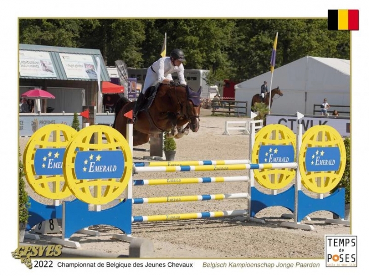 userfiles/horse/4722/paard-ely-finale-5-ans-emerald-jpg.png