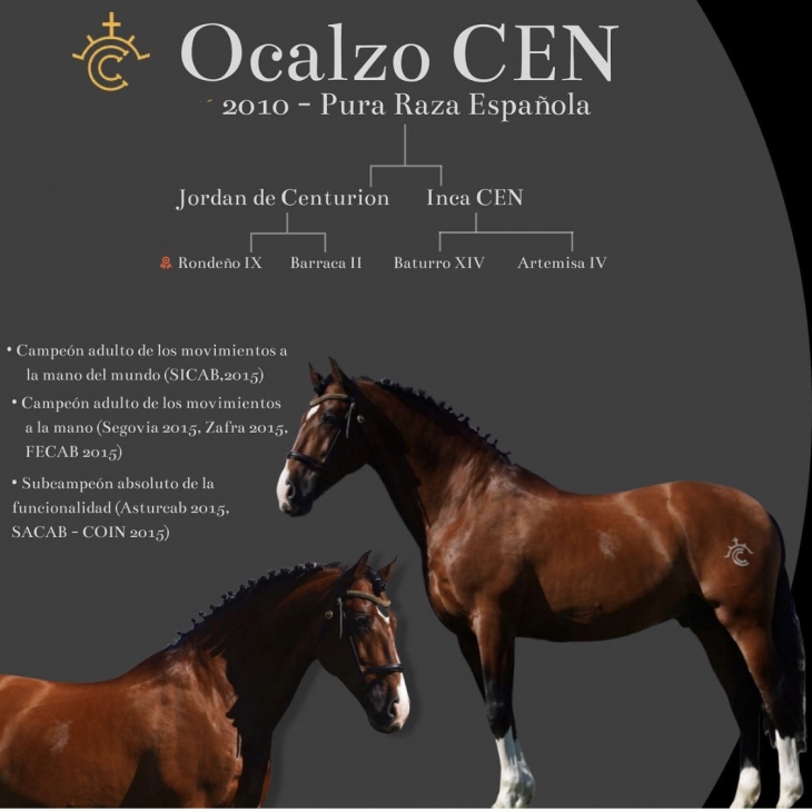 OCALZO CEN PRE - Foalr