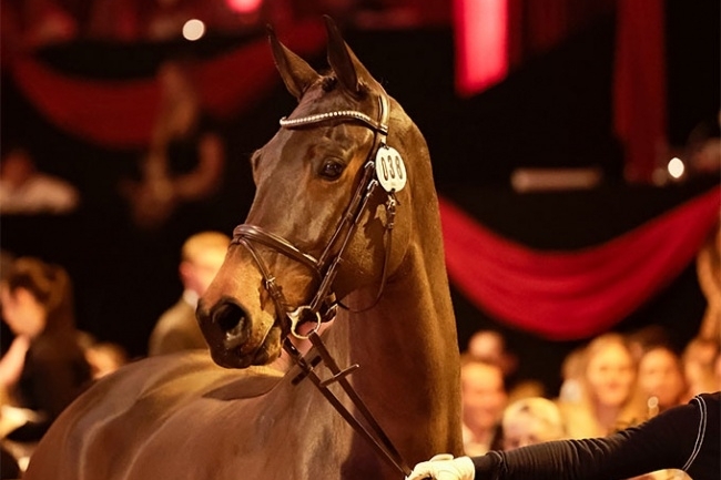 Record pour la vente PSI : le Top Price vendu à 4 millions d’euros !