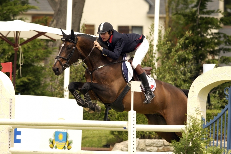 Diamant de Semilly, showjumping stallion and undisputed breed leader!