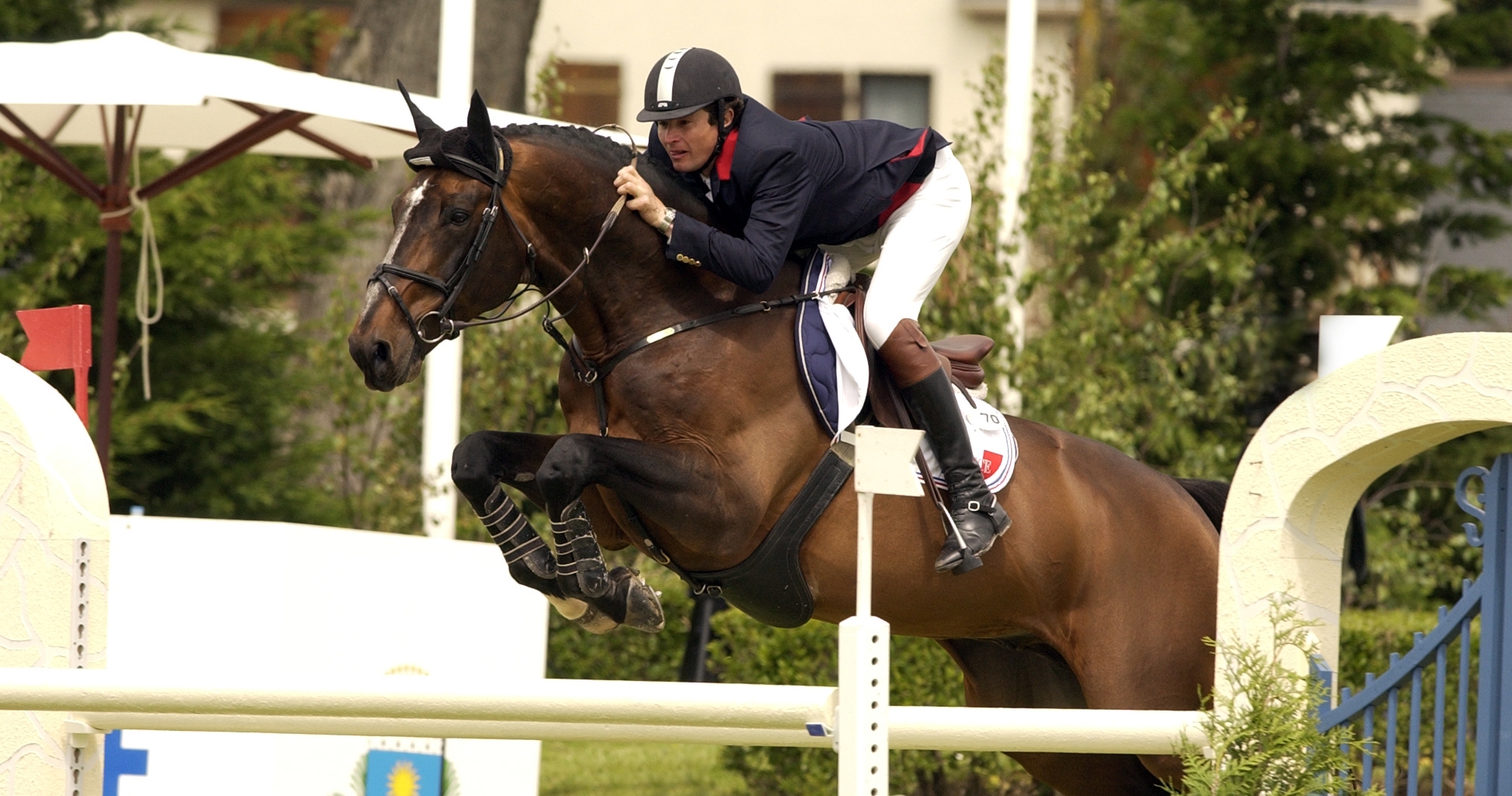 Diamant de Semilly, showjumping stallion and undisputed breed leader ...