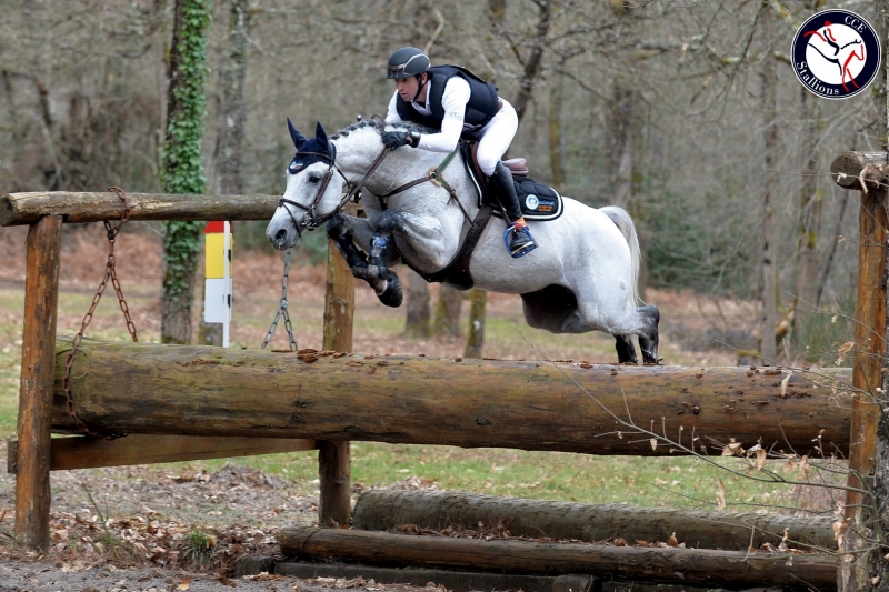 Upsilon, the super-talented Eventing stallion