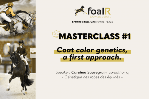 Coat color genetics, a first approach.