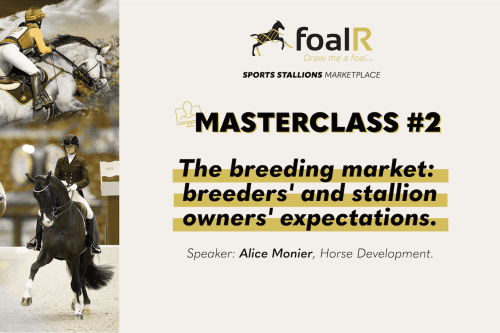 The breeding market - breeders' and stallion owners' expectations.