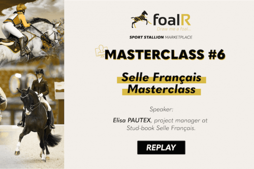 Selle Français Masterclass