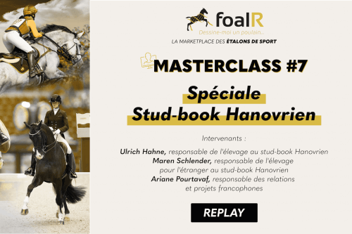 Masterclass spéciale Stud-book Hanovrien