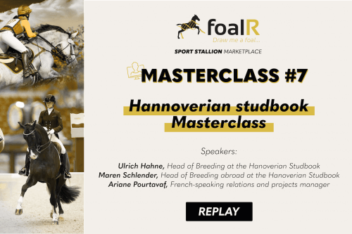 Hannoverian Studbook Masterclass