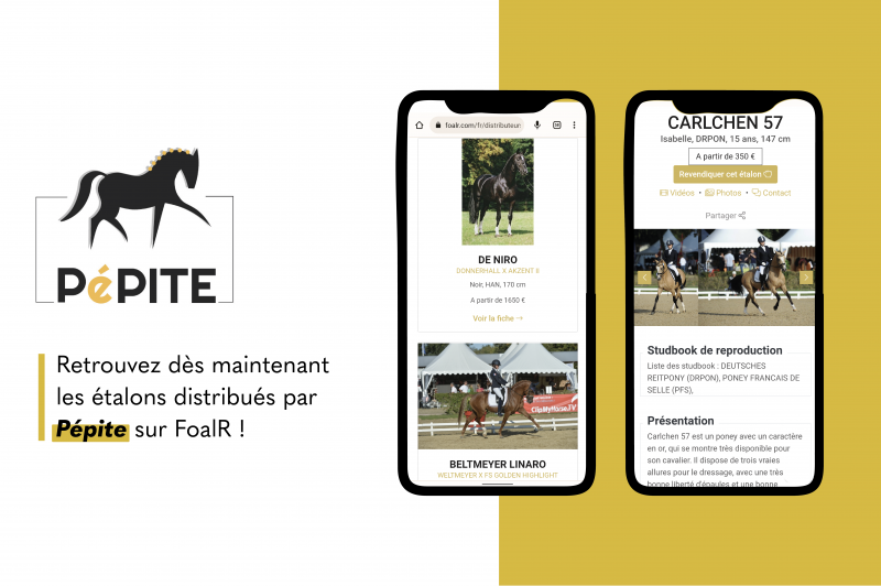 Pépite - Étalons de Dressage fait son entrée sur FoalR !