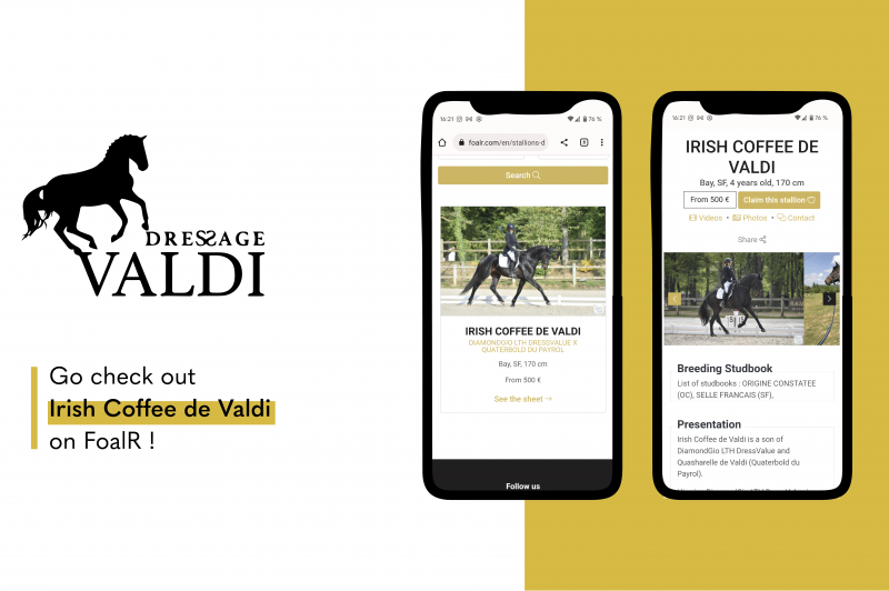 Irish Coffee de Valdi is on FoalR!