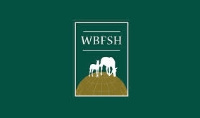 Flash infos : le ranking WBFSH des étalons de dressage est sorti !