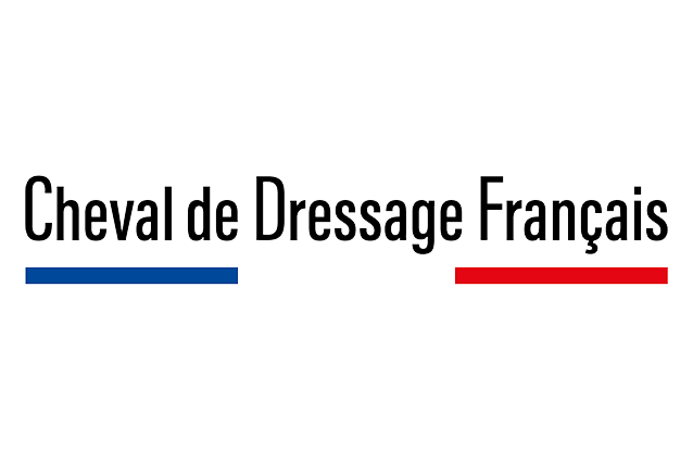 French know-how is now recognised thanks to the Stud-Book du Cheval de Dressage Français!